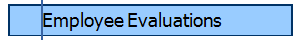Employee Evaluations