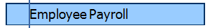 Employee Payroll