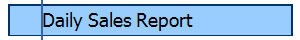 Daily Sales Report